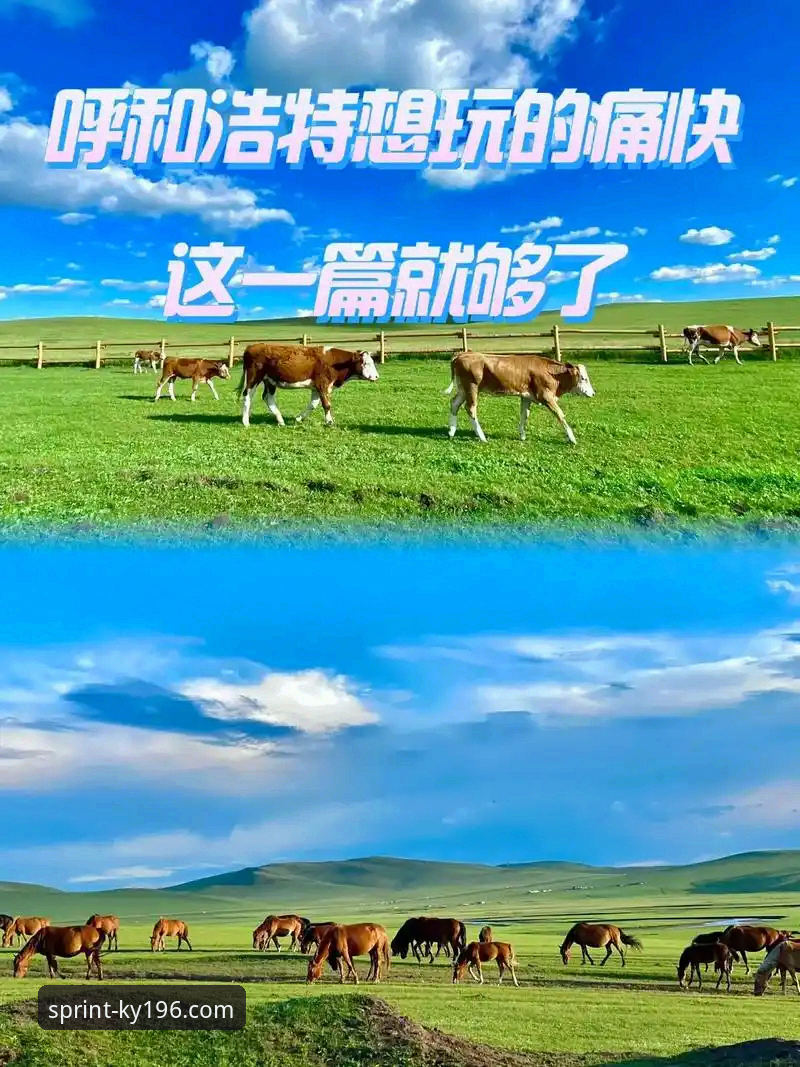 资深用户分享：196体育平台下载全攻略，体育怎么下载这一篇就够了